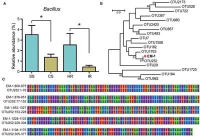 Biocontrol potential of Bacillus velezensis EM-1 associated with suppressive rhizosphere soil microbes against tobacco bacterial wilt